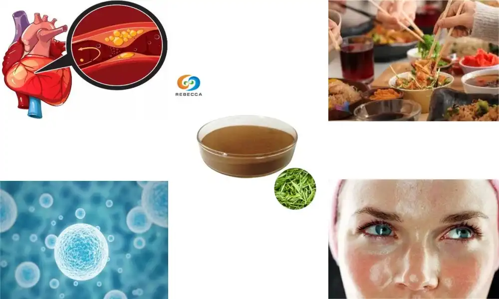 What is the main benefit of green tea extract?
